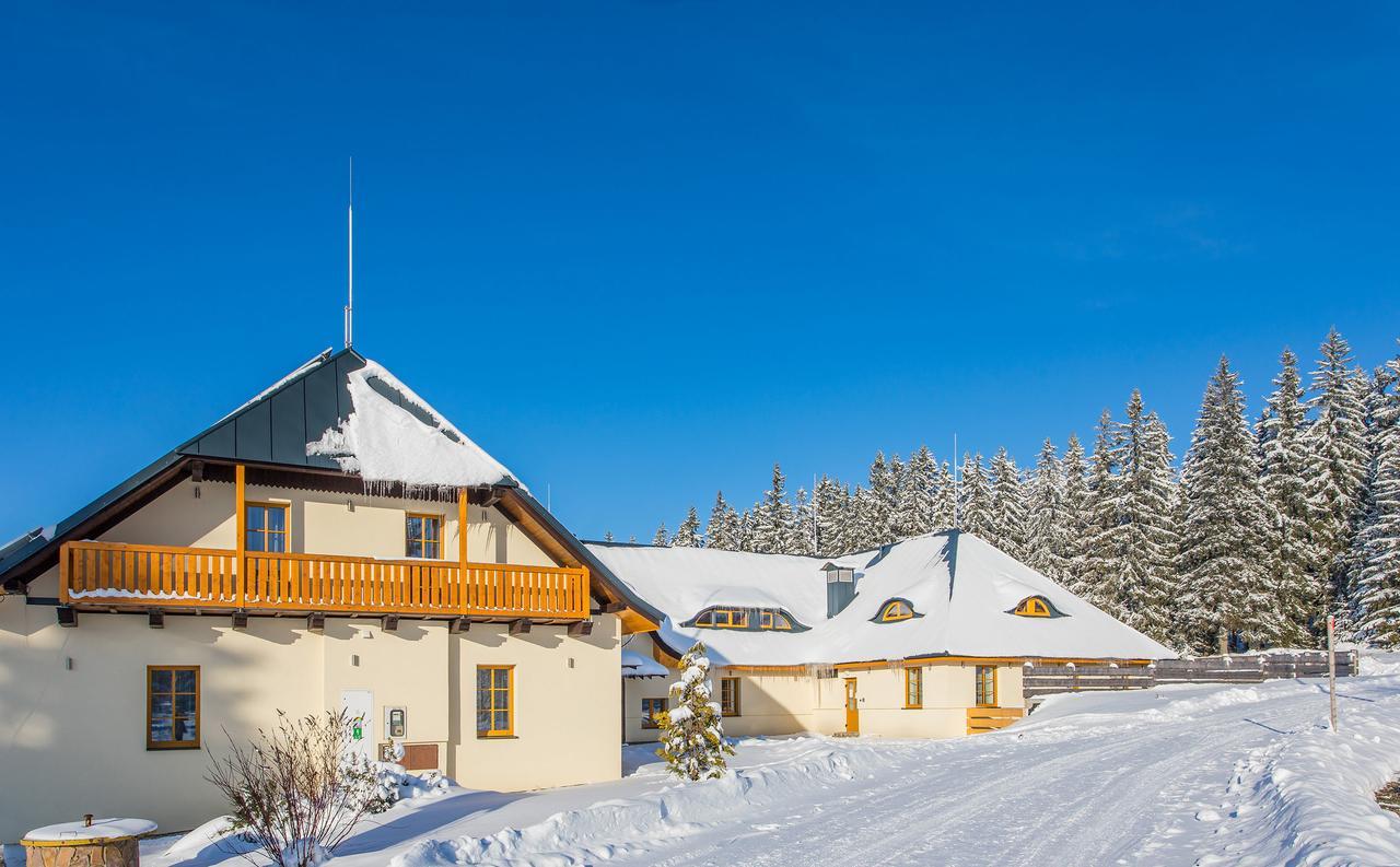 Ea Horsky Hotel Hajenka Modrava Exterior foto